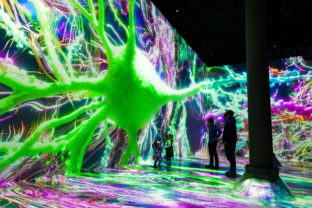 ARTECHOUSE: Where Art Meets Imagination - New York | Secret World Trip Planner