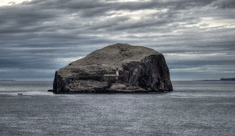 Ecosse : le Bass Rock, ou simplement la Bass — Bass Rock