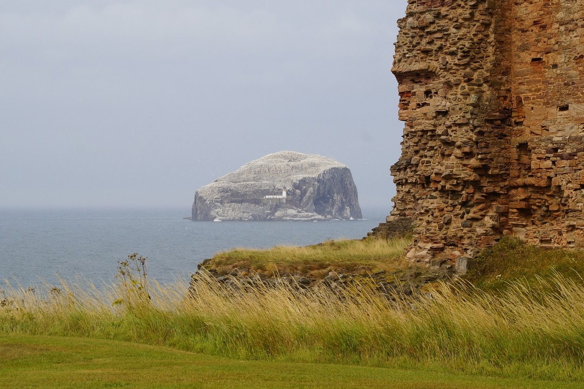 Ecosse : le Bass Rock, ou simplement la Bass - Bass Rock | Secret World Trip Planner