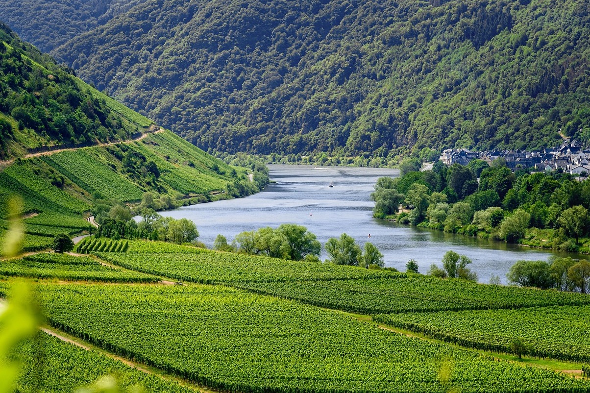 Château-Chalon and vineyards in the Seille Valley - Château-Chalon | Secret World Trip Planner