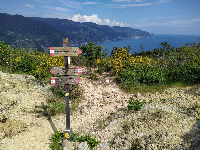 梅斯科岬角 - punta Mesco | Secret World Trip Planner