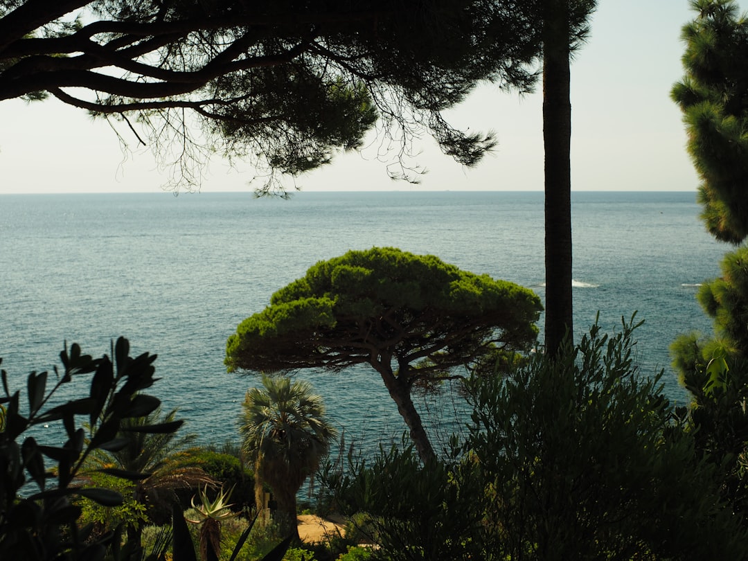 Conca dei Marini | Ein endloser Garten am Meer - Conca dei Marini | Secret World Trip Planner