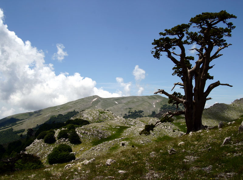 Pollino-Park - Terranova di Pollino | Secret World Trip Planner