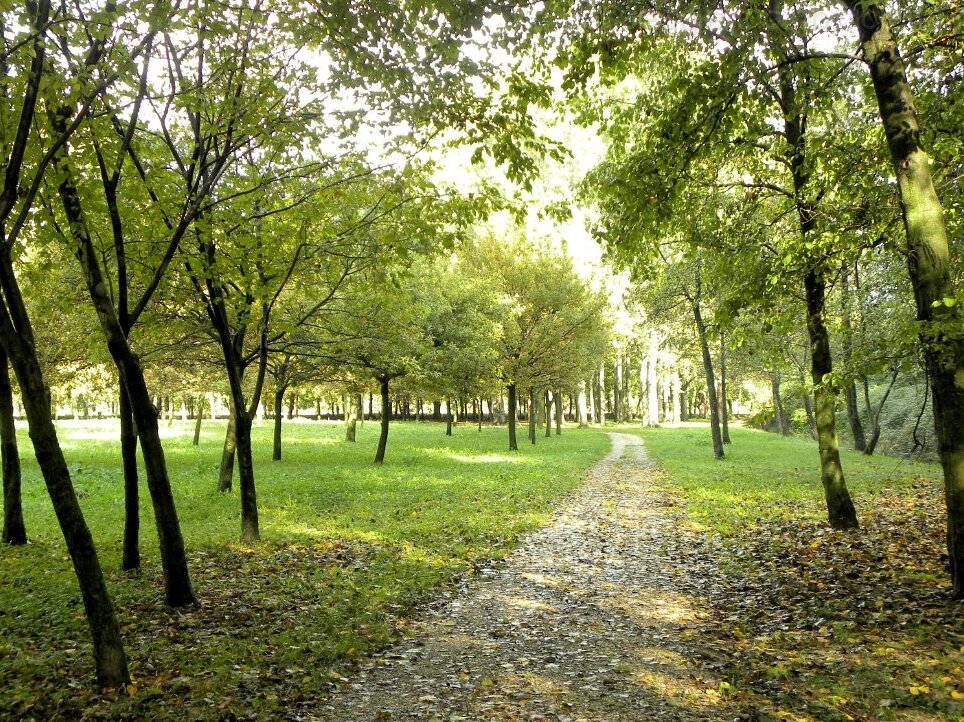 The Resurgence Park — Codroipo