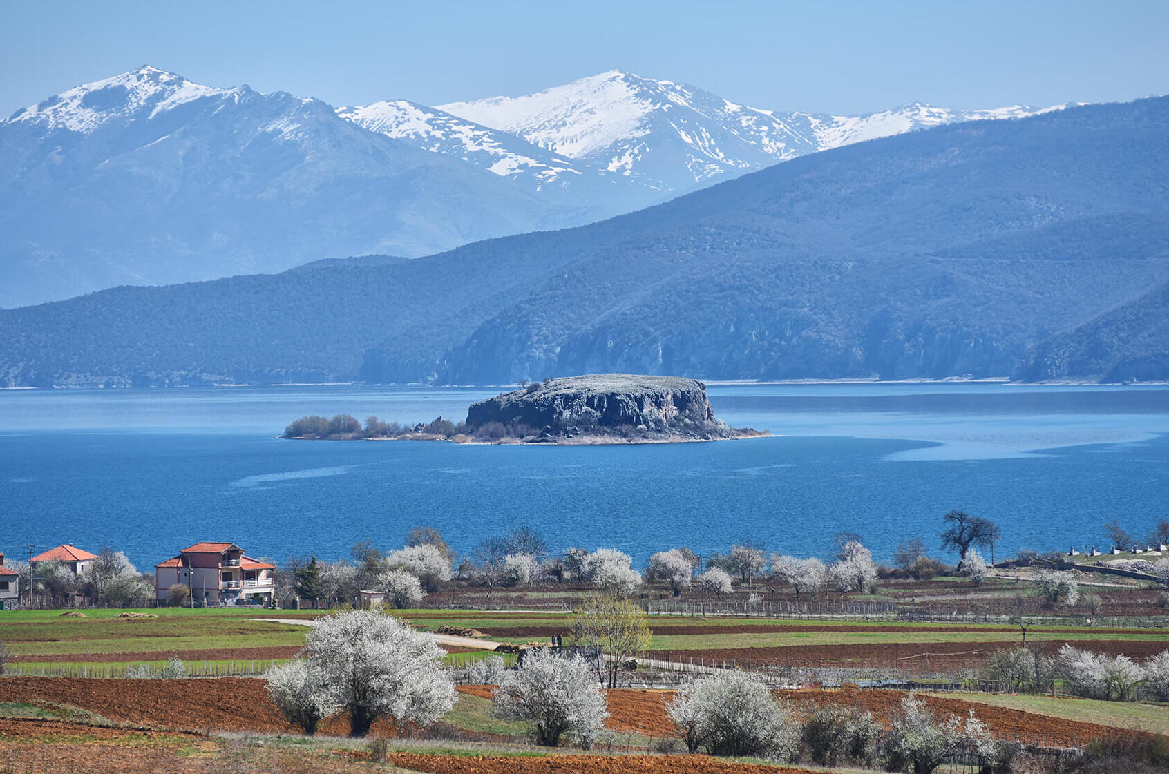 Prespa lakes:One of the most important wetlands in Europe