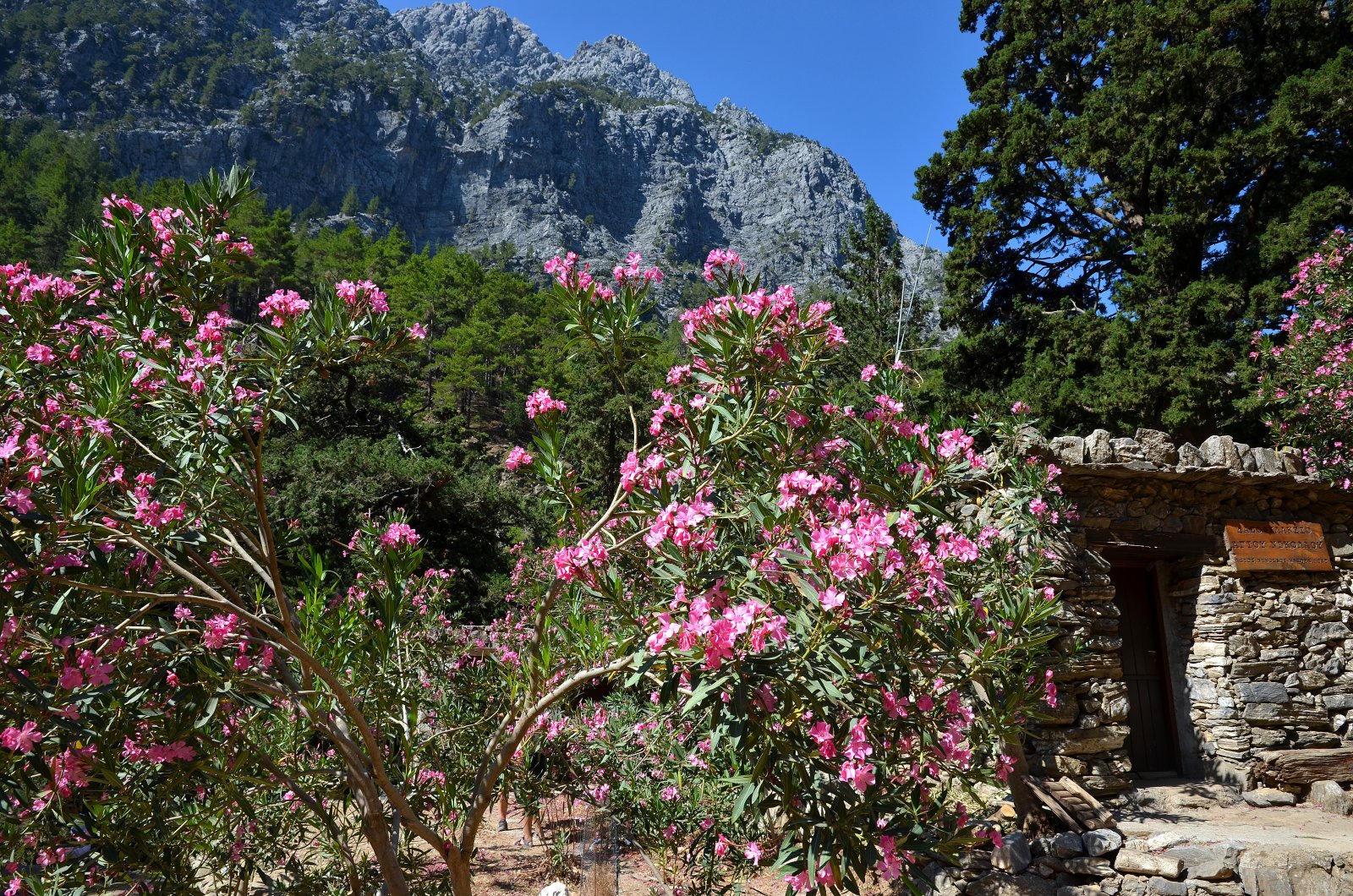 Les gorges de Samaria : un des trekkings les plus célèbres d'Europe - Sfakia 730 11 | Secret World Trip Planner
