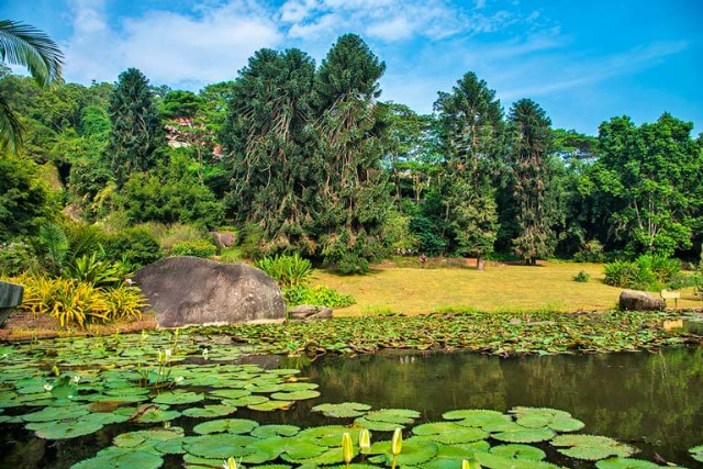 Le monde de la forêt tropicale - Xiamen | Secret World Trip Planner