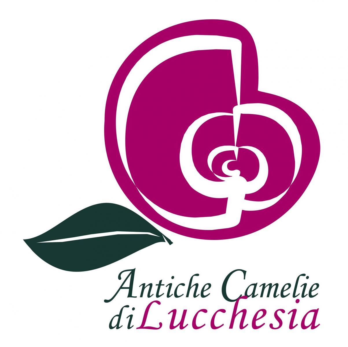 Старият замък Борини между чай и красиви камелии - Capannori | Secret World Trip Planner