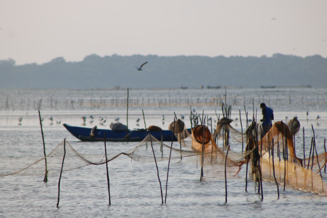 Kokkilai-Lagune — Kokkilai Lagoon