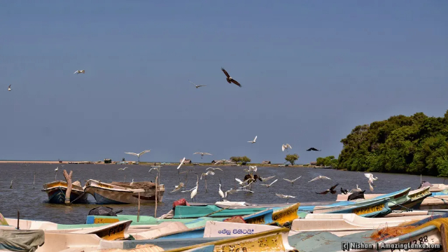 Kokkilai-Lagune - Kokkilai Lagoon | Secret World Trip Planner
