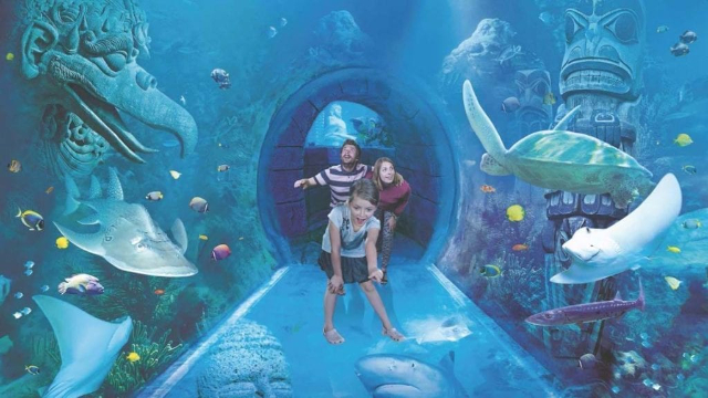Aquarium SEA LIFE d'Orlando - Orlando | Secret World Trip Planner