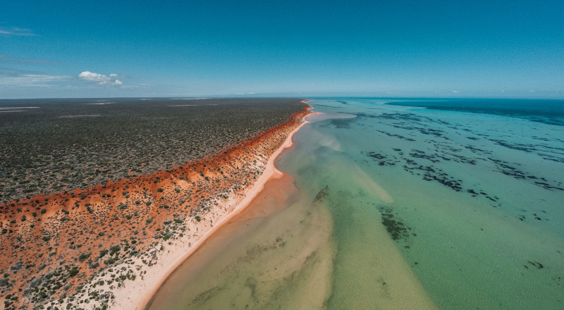 Shark Bay, Australie occidentale - Contea di Shark Bay | Secret World Trip Planner