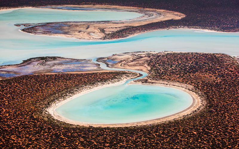 Shark Bay, Australie occidentale - Contea di Shark Bay | Secret World Trip Planner