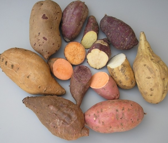 Kūmara La pomme de terre douce de Nouvelle-Zélande — Wellington