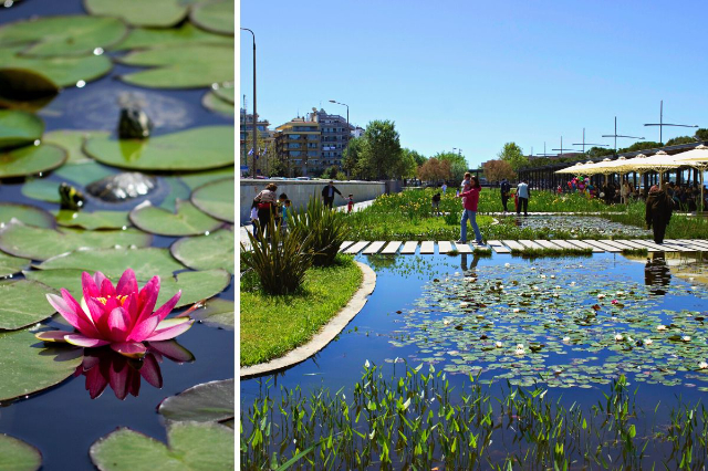 Jardin d'eau : Une oasis de tranquillité au cœur de Thessalonique - Thessaloniki | Secret World Trip Planner