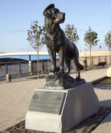 Bamse Dog Hero - Wharf St | Secret World Trip Planner