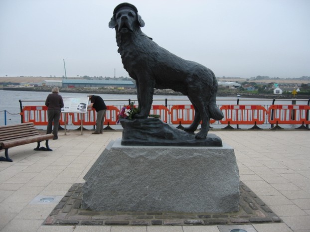 Bamse Dog Hero - Wharf St | Secret World Trip Planner