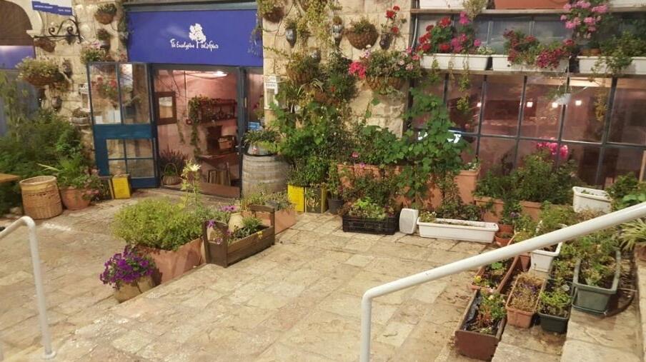 Eucalyptus and biblical cuisine — Jerusalem