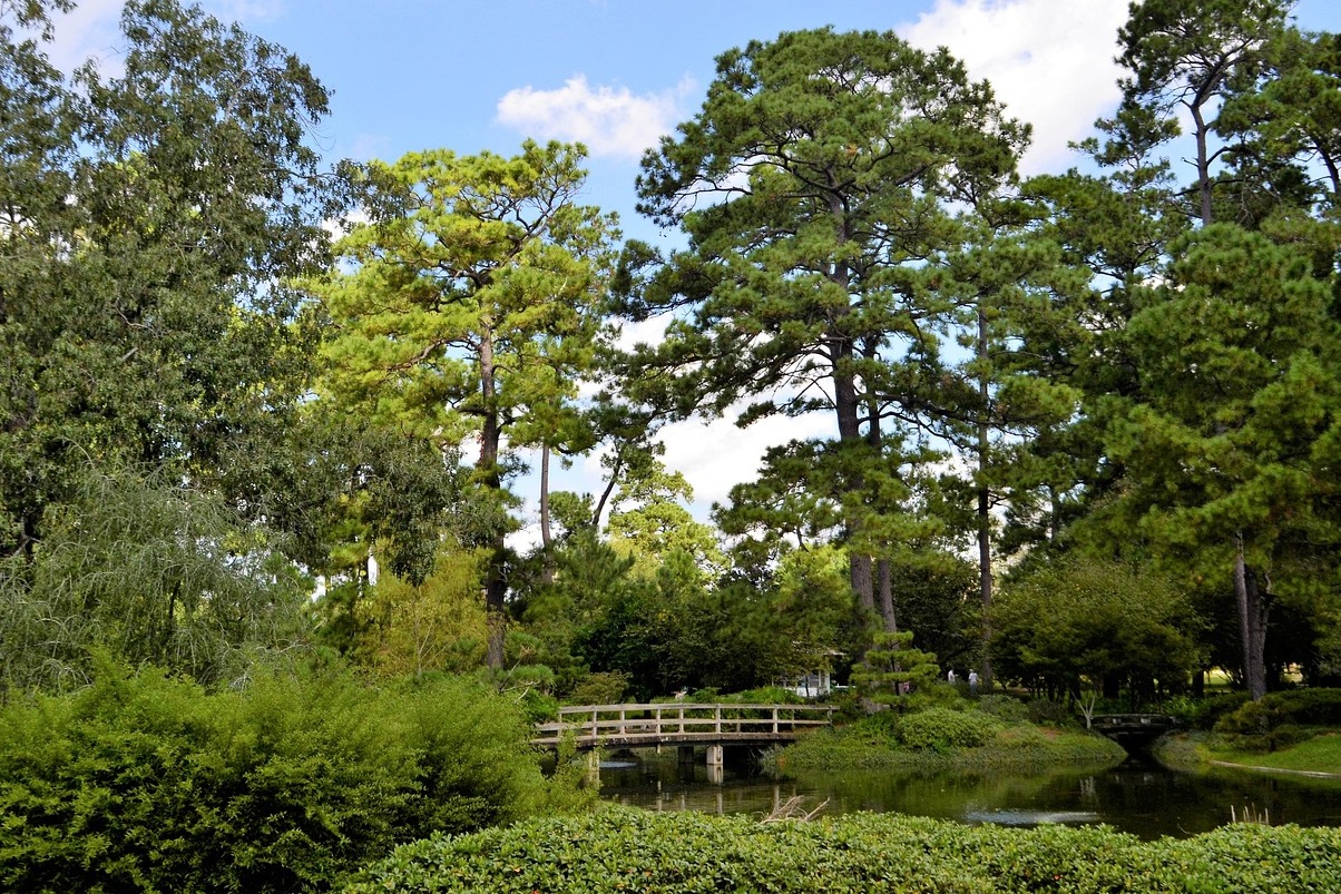 Jardin botanique national - La Habana | Secret World Trip Planner