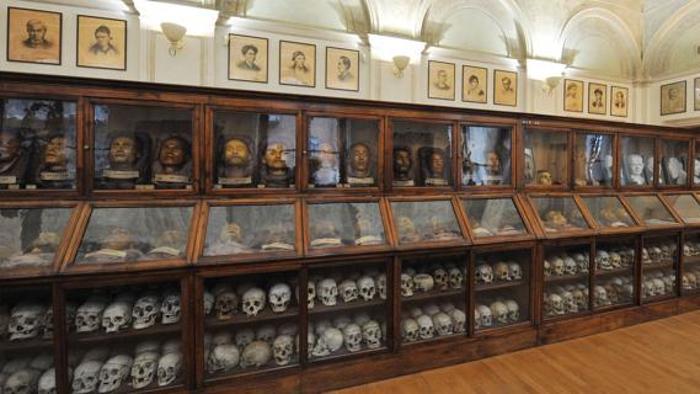 Lombroso Museum of Criminal Anthropology - Torino | Secret World Trip Planner