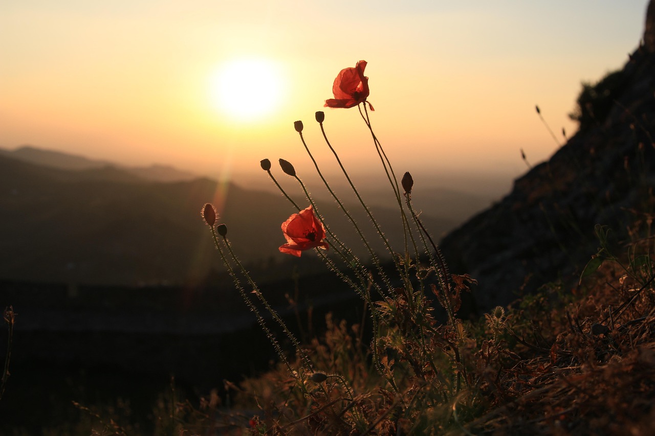 Marvão : une belle ville médiévale - Marvão | Secret World Trip Planner