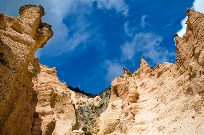 Fulles vermelles De Fiastra - Trebbio | Secret World Trip Planner