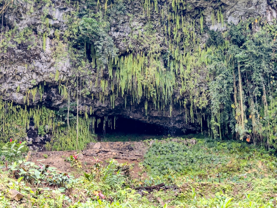 Cascade de la grotte de Waiahuakua sur l'île de Kauai - Waiahuakua | Secret World Trip Planner