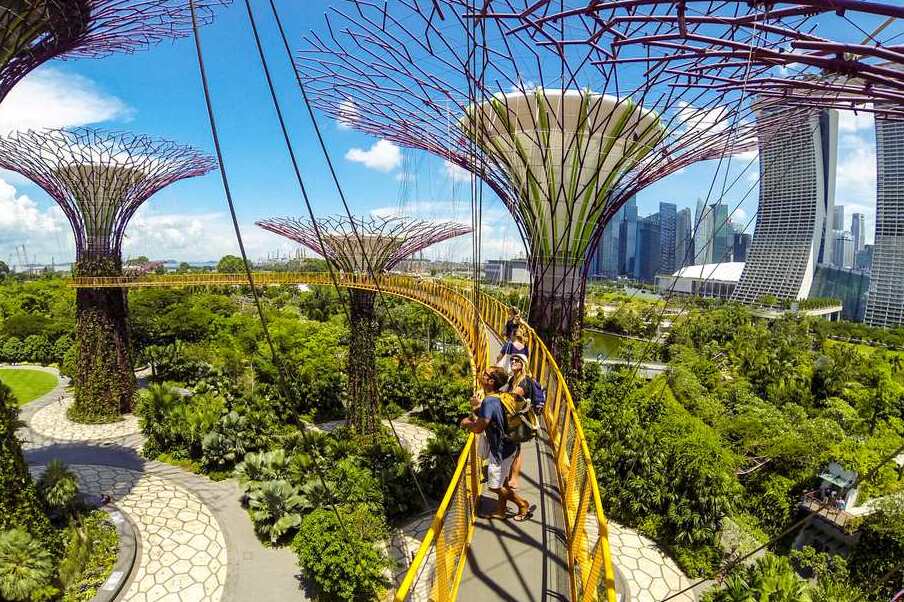 The Singapore Botanic Garden — Singapore