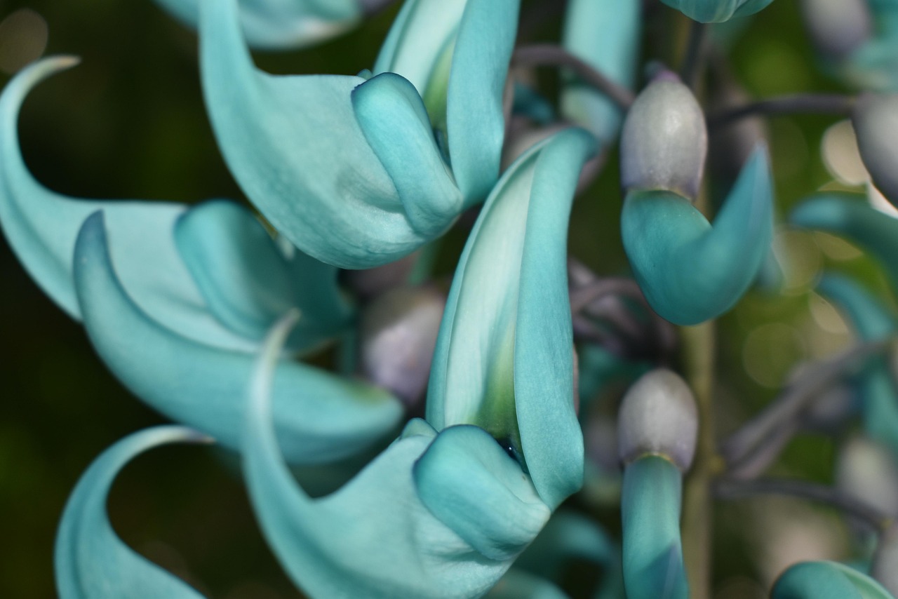 The Hortus Botanicus Lovaniensis - Leuven | Secret World Trip Planner