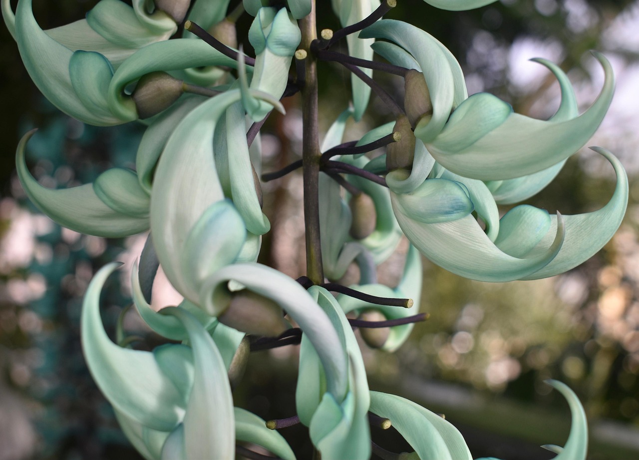 The Hortus Botanicus Lovaniensis - Leuven | Secret World Trip Planner