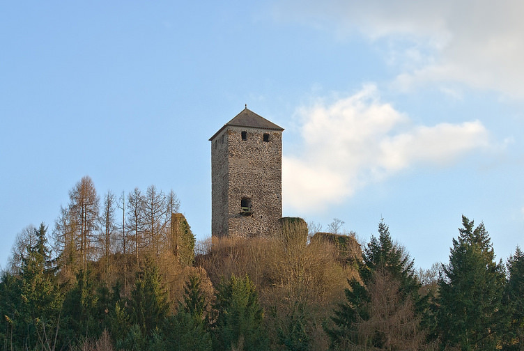 Castle Treis (Treisburg) — Treis-Karden