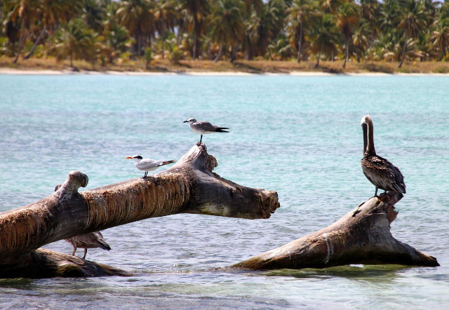 Parc national de l'Est - Higüey | Secret World Trip Planner