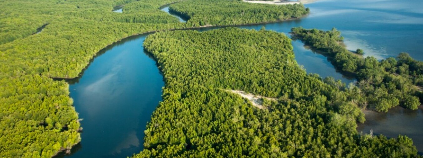Godrej and the Largest mangrove belt in Mumbai — Guwahati