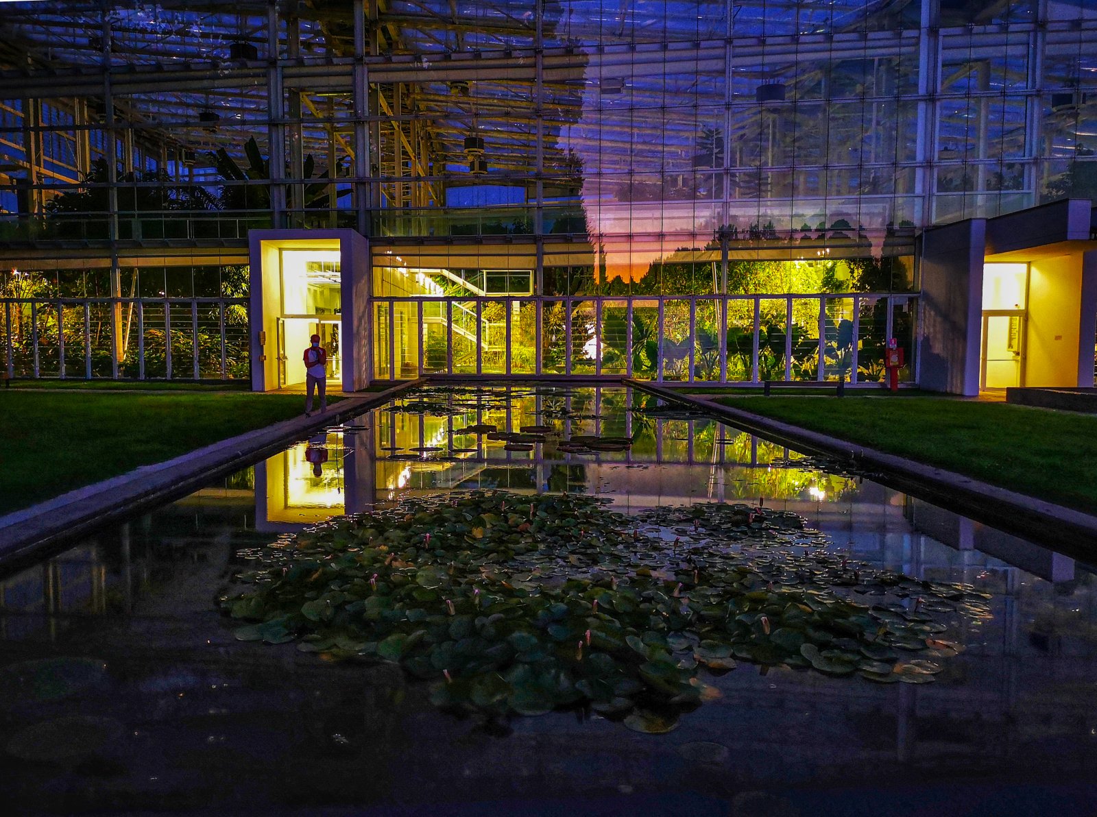 Botanischer Garten von Padua - Unesco-Erbe - Padova | Secret World Trip Planner