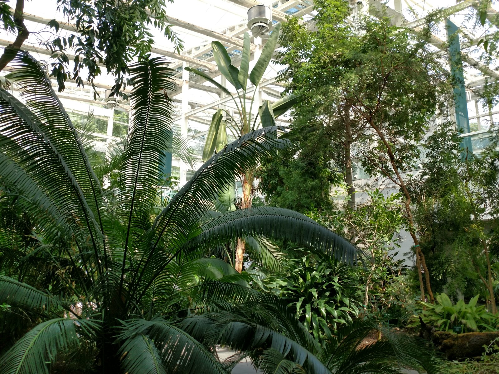 Botanischer Garten von Padua - Unesco-Erbe - Padova | Secret World Trip Planner