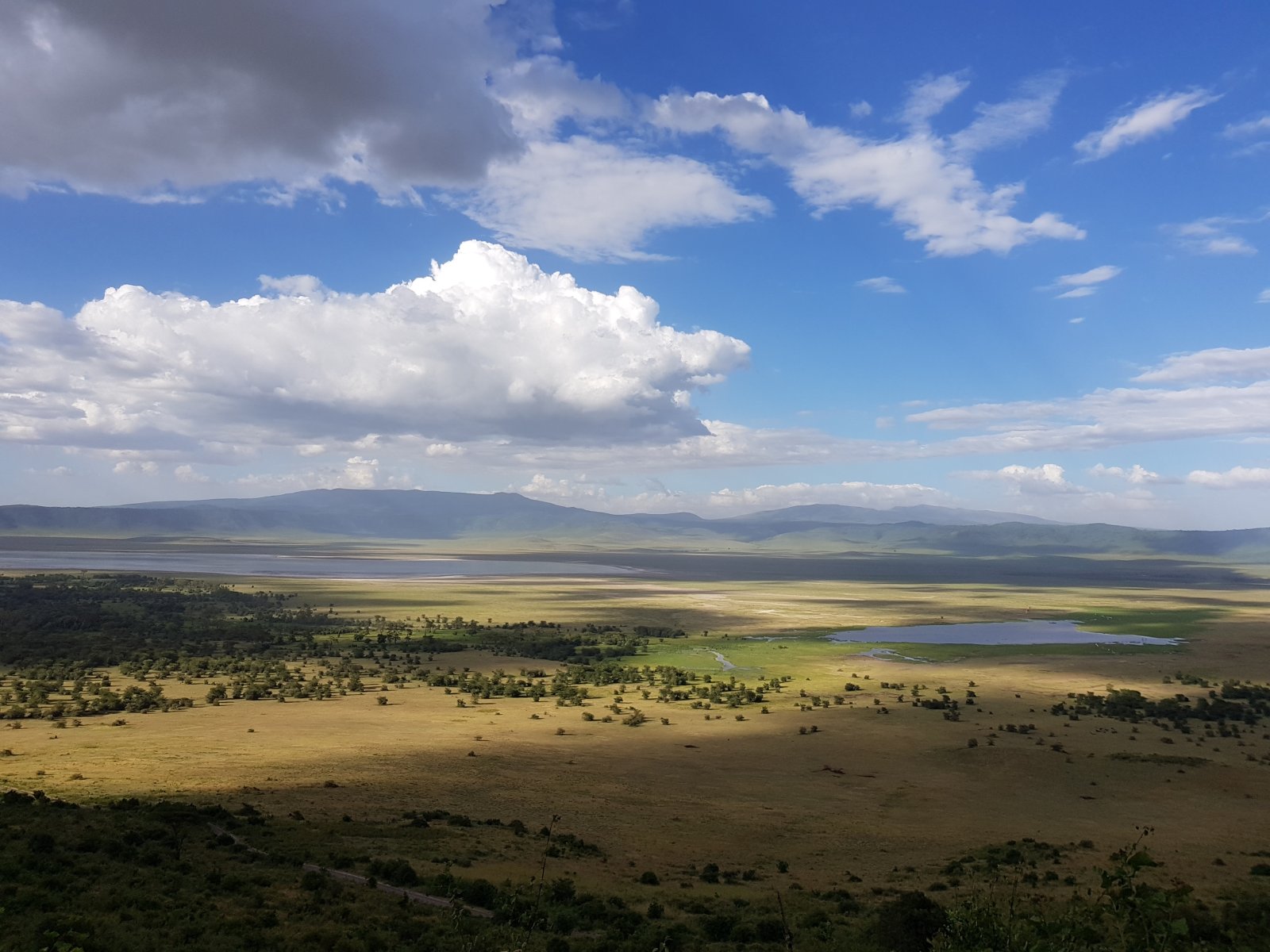 Le cratère du Ngorongoro, la plus grande caldeira du monde - Ngorongoro Crater | Secret World Trip Planner