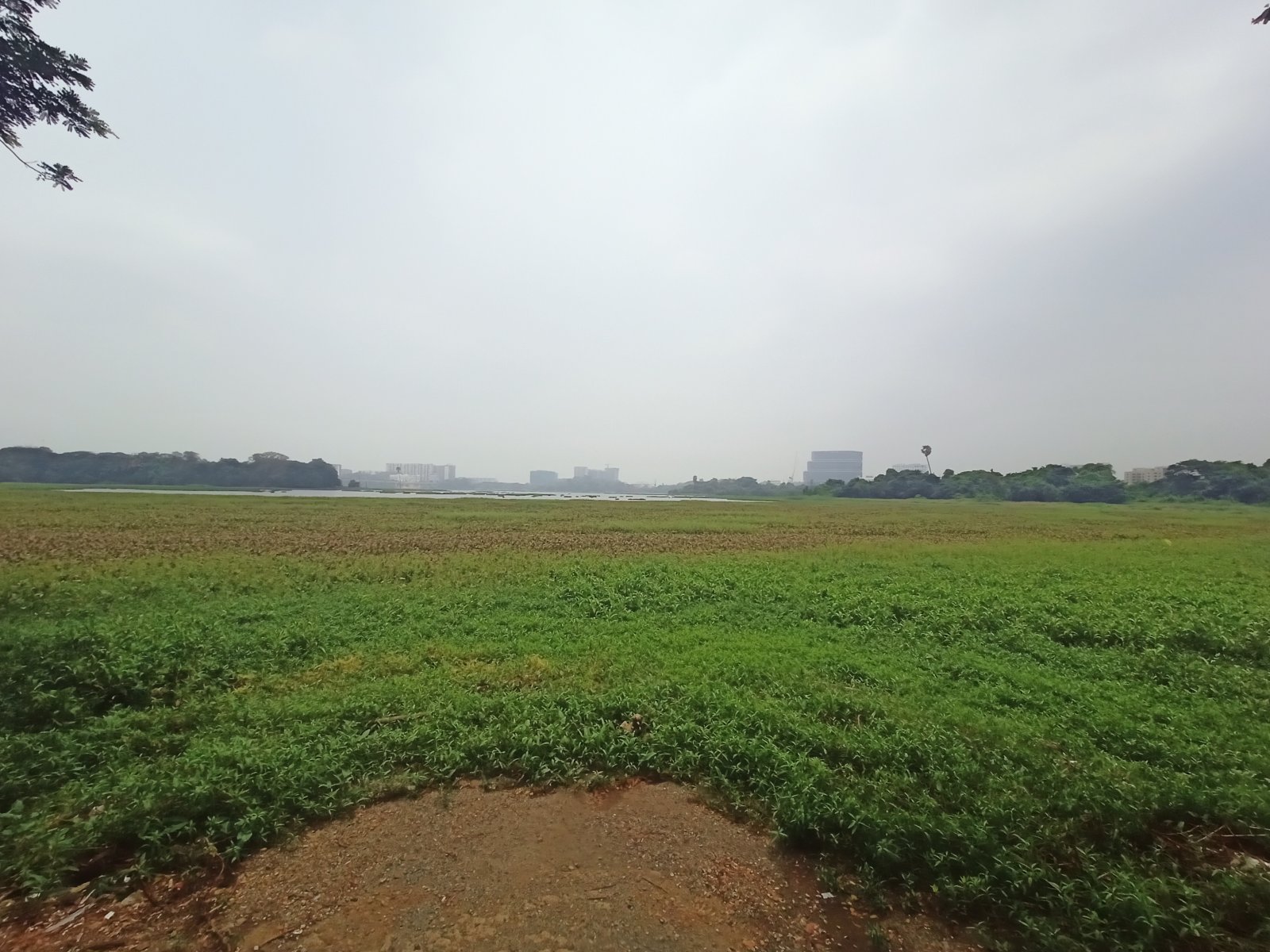 Powai Lake Where to forget the chaos of everyday life - Mumbai | Secret World Trip Planner