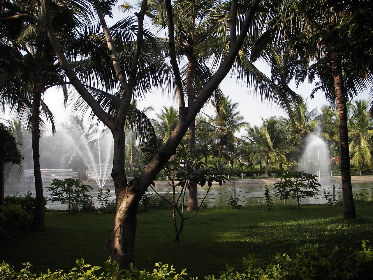 Chennai | Uttapam - Chennai | Secret World Trip Planner