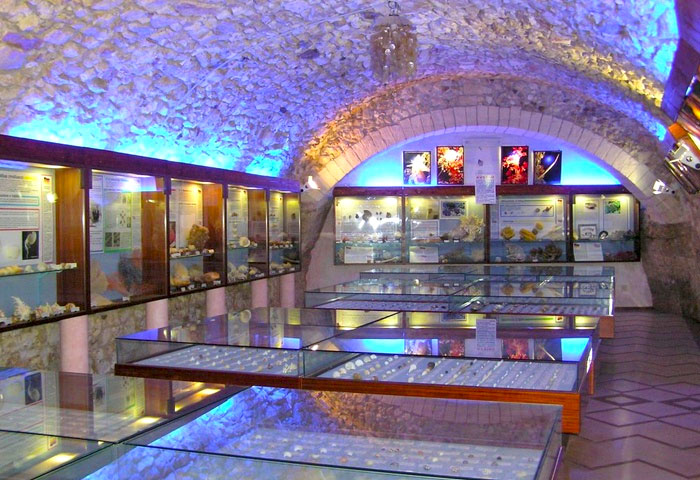 Musée malacologique - Vieste | Secret World Trip Planner