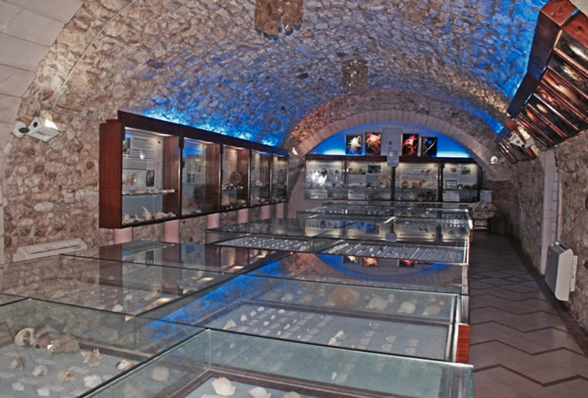 Musée malacologique - Vieste | Secret World Trip Planner