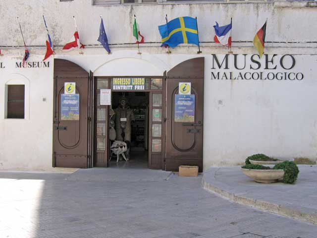 Musée malacologique - Vieste | Secret World Trip Planner