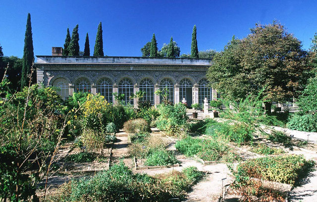 Garten der Pflanzen - Montpellier | Secret World Trip Planner