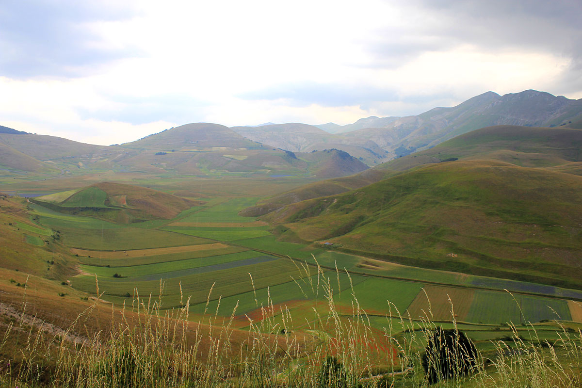 Castelluccio ngembang - Castelluccio | Secret World Trip Planner