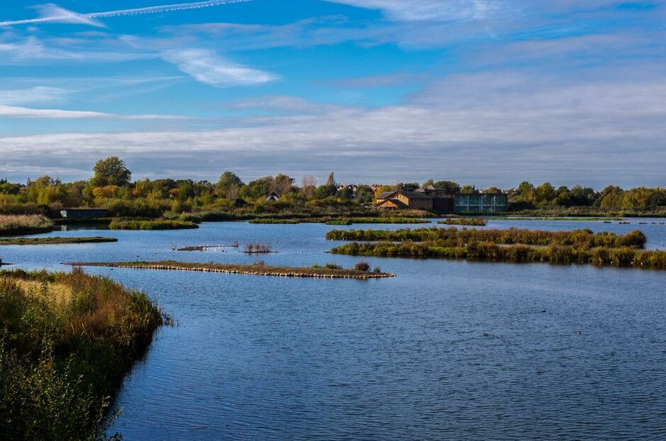 לונדון Wetland Centre: a birdwatcher ' s Paradise - Londra | Secret World Trip Planner