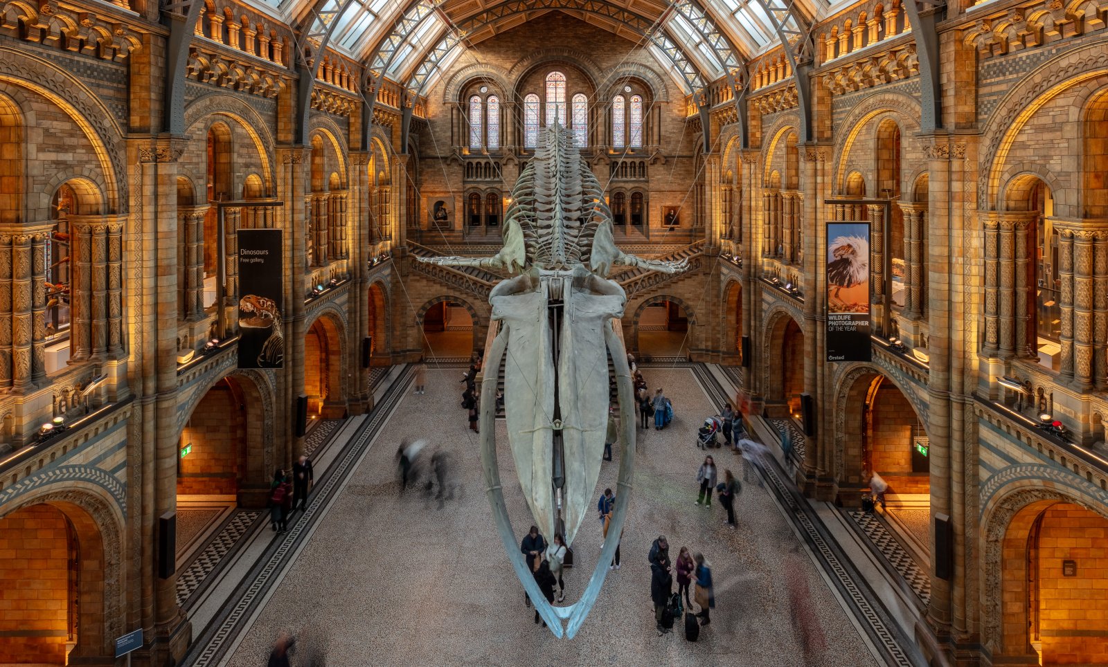 런던의 자연사 박물관 - Londra | Secret World Trip Planner