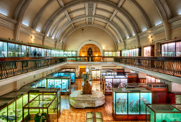 Horniman Museu - Londra | Secret World Trip Planner