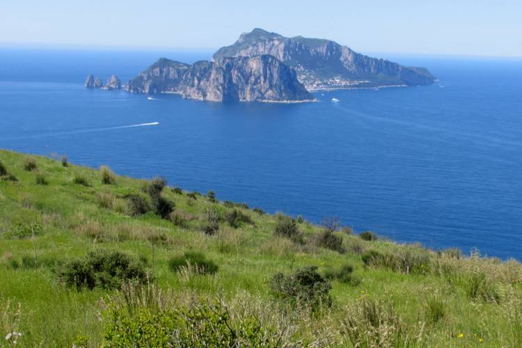 წერტილი კამპანელა - Area naturale marina protetta Punta Campanella | Secret World Trip Planner