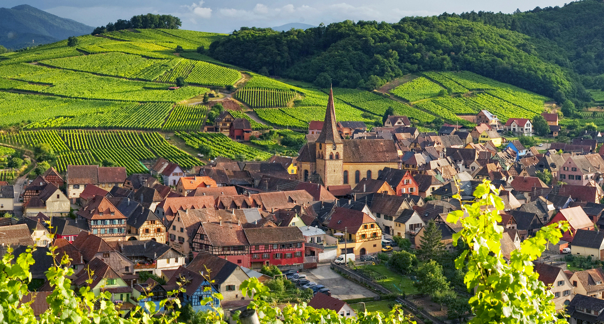 La région viticole d'Alsace en France — Alsazia