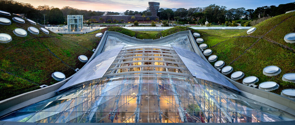 L'Académie des sciences de Californie à San Francisco — San Francisco