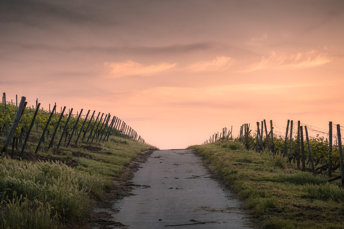 Beaulieu Vineyard - Napa | Secret World Trip Planner